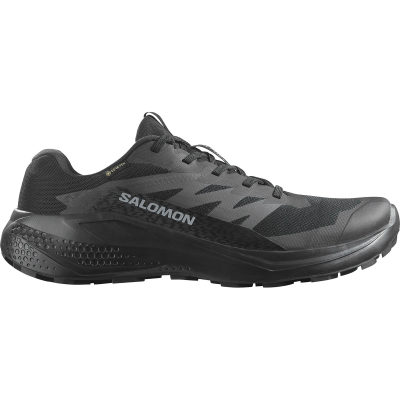 Кроссовки для трейлраннинга Salomon Alphaglide GTX, мужские