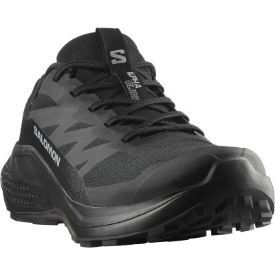 Кроссовки для трейлраннинга Salomon Alphaglide GTX, мужские — 2
