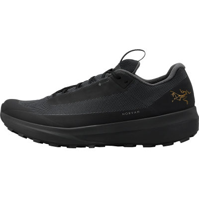 Кроссовки для трейлраннинга Arcteryx Norvan LD 4 GTX, женские