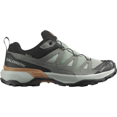 Треккинговые ботинки Salomon X Ultra 360 LTR GTX, мужские