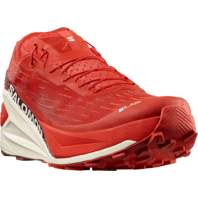 Кроссовки для трейлраннинга Salomon S-Lab Pulsar 4 — 2