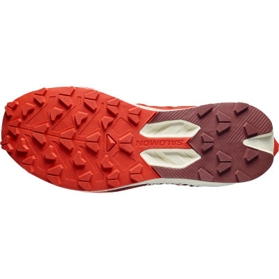 Кроссовки для трейлраннинга Salomon S-Lab Pulsar 4 — 5