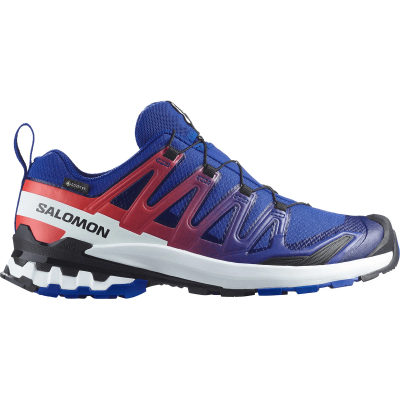 Кроссовки для трейлраннинга Salomon XA Pro 3D V9 GTX Equipe