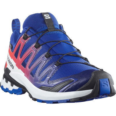 Кроссовки для трейлраннинга Salomon XA Pro 3D V9 GTX Equipe — 2