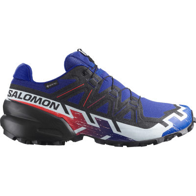 Кроссовки для трейлраннинга Salomon Speedcross 6 Gtx Equipe