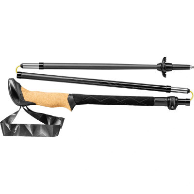 Палки Leki Black Series FX Carbon — 5