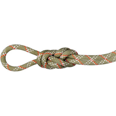 Верёвка Mammut 9.5 Gym Classic