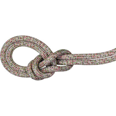 Верёвка Mammut 9.5 Crag We Care Classic