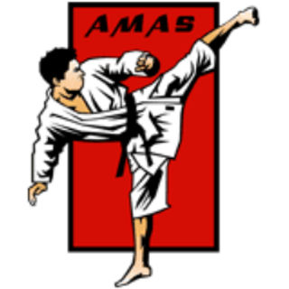 American Martial Arts Systems logo