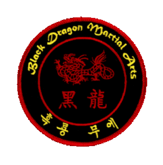 Black Dragon Martial Arts logo