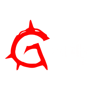 Anarchy Gym logo