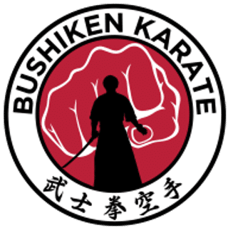 Bushiken Karate Skinner Dojo logo