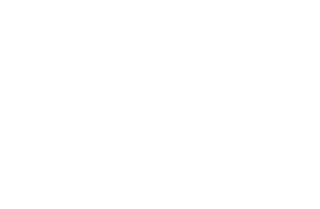 Create A Pro Wrestling logo