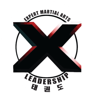 Expert Martial Arts logo