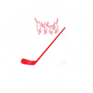 Family Skating Annex logo