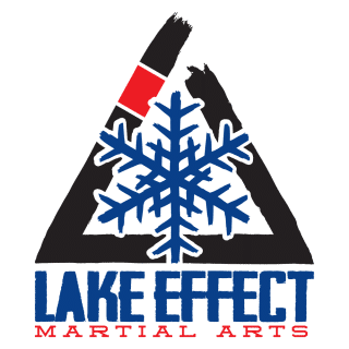 Lake Effect Martial Arts logo