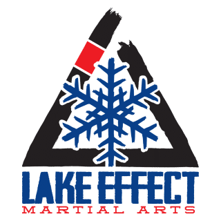 Lake Effect Martial Arts South logo