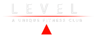 Level Fitness logo