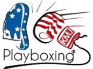 PLAYBOXING ACADEMY logo