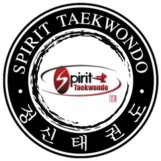 Spirit Taekwondo Farmingdale logo