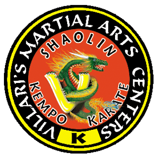 Villari's Martial Arts Centers logo