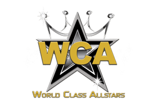 World Class Allstars logo
