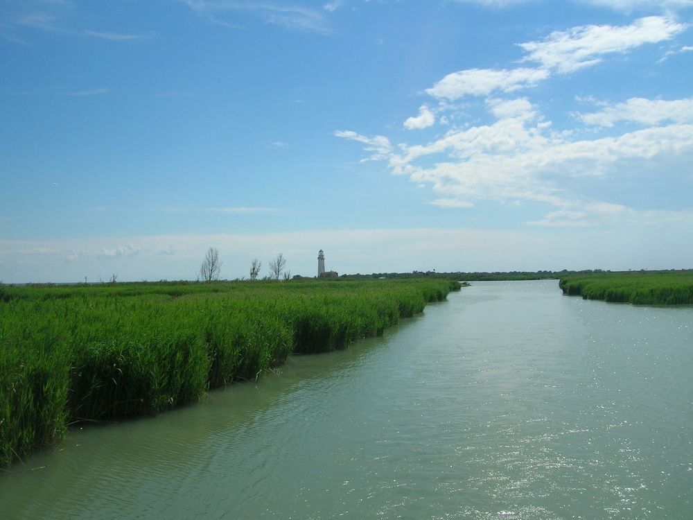 Vacanze in Italia con bambini: Valli di Comacchio Vacanze in Italia con bambini: Valli di Comacchio