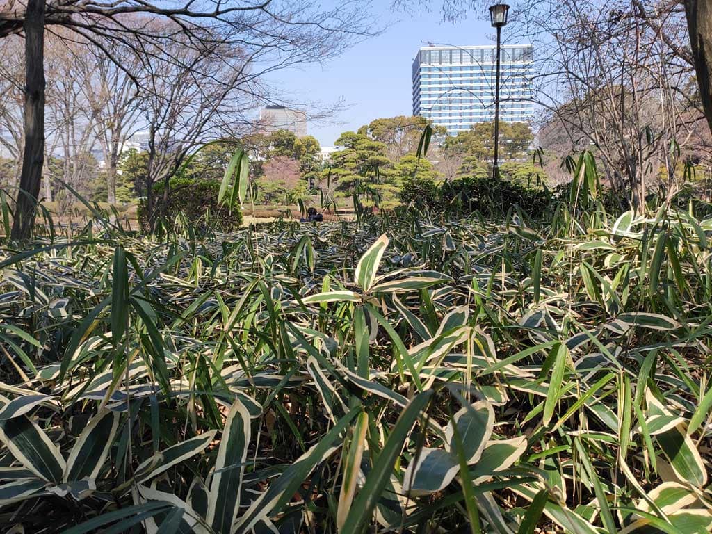 Palacio imperial de Tokio