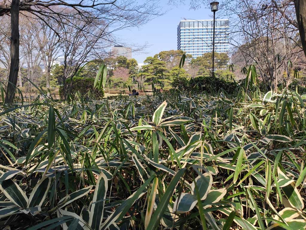 Palacio imperial de Tokio