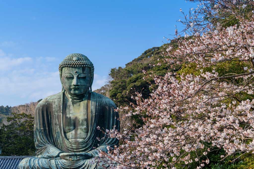 la enseñanza de buddha