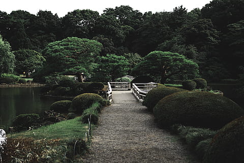 los jardines orientales del palacio imperial de tokio