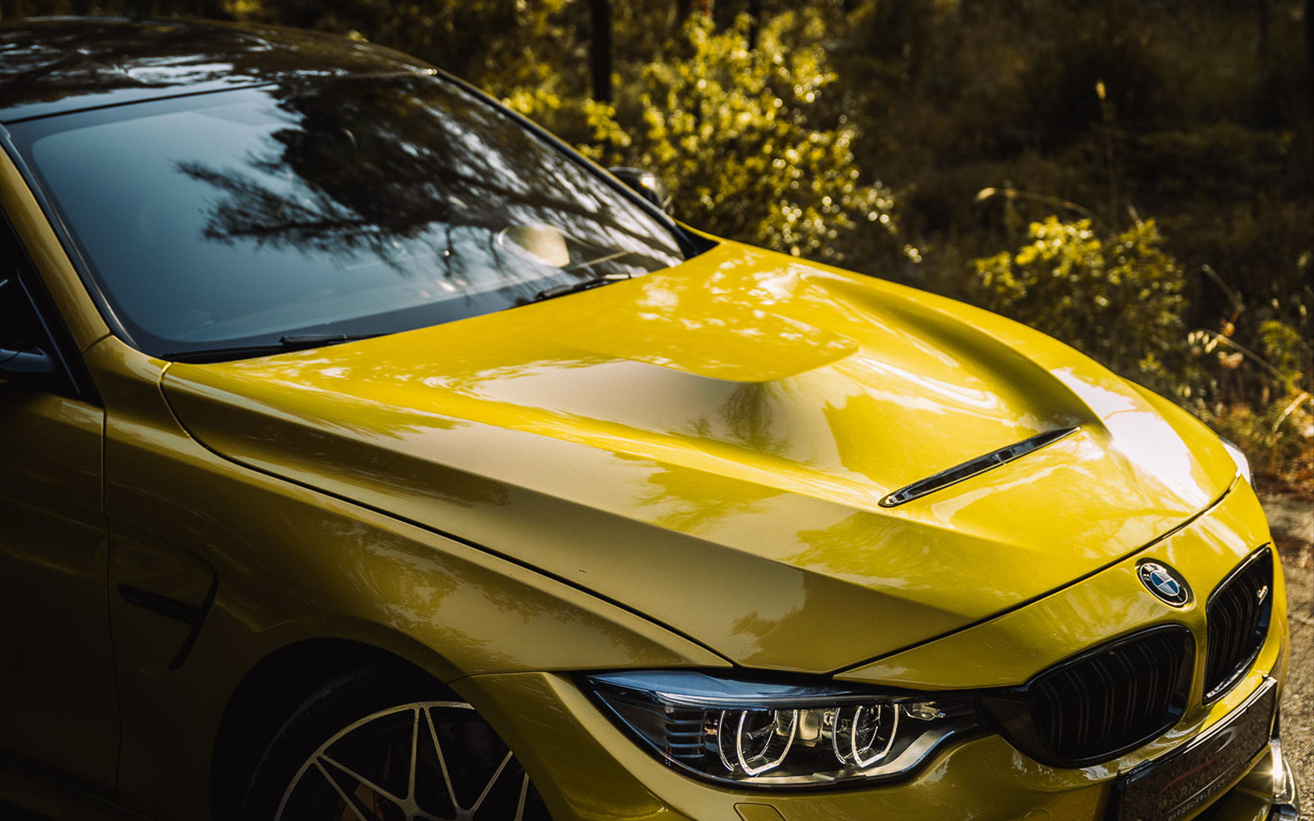 BMW M4 Competition rental Athens — photo 6 of 23