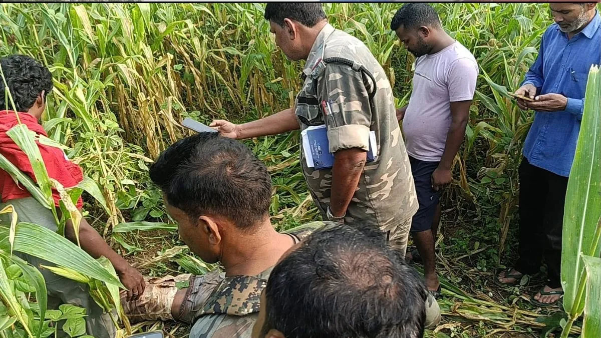 दारू पिऊन झालेल्या वादातून पलामूचा मृत्यू, सासऱ्यावर खुनाचा आरोप