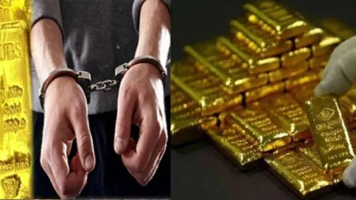 पूरे भारत में चल रहे सोने की तस्करी के नेटवर्क का भंडाफोड़, ₹10 करोड़ से अधिक मूल्य का सोना जब्त