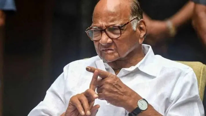 शरद पवार ने एनसीपी (एसपी) के किसी भी संगठन के साथ विलय से इनकार किया, कहा कि पार्टी अपना आधार मजबूत करने पर ध्यान केंद्रित करेगी