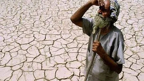 महाराष्ट्रात कमी पावसाचा पिकांना फटका, शरद पवारांची दुष्काळ जाहीर करण्याची मागणी