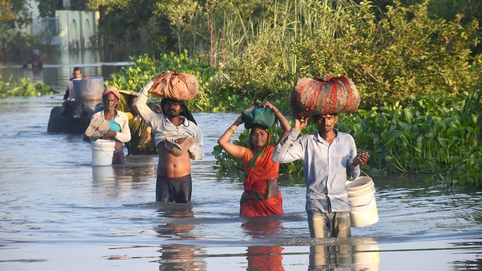 Bihar Flood Crisis Explodes: 47.33 Lakh People Hit, Bhagalpur Embankments Breach