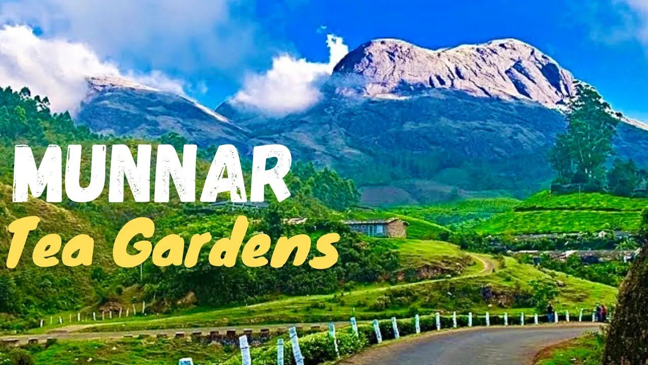 न्यूयॉर्क टाइम्स में 2023 के घूमने की बेस्ट जगहों में केरल भी हुआ शामिल.