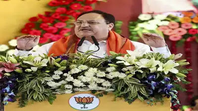 BJP President Nadda said his party would win more than 200 seats out of 230 assembly in Madhya Pradesh.