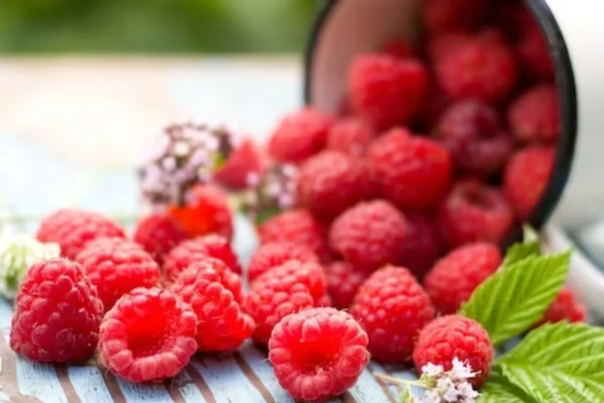 Raspbarries are sweet and contains several healthy nutrients.