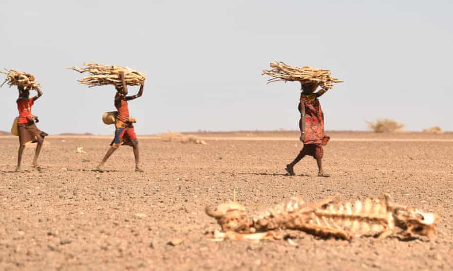 The devastating drought in the Horn of Africa would not have happened without the human-made impact of the climate crisis.