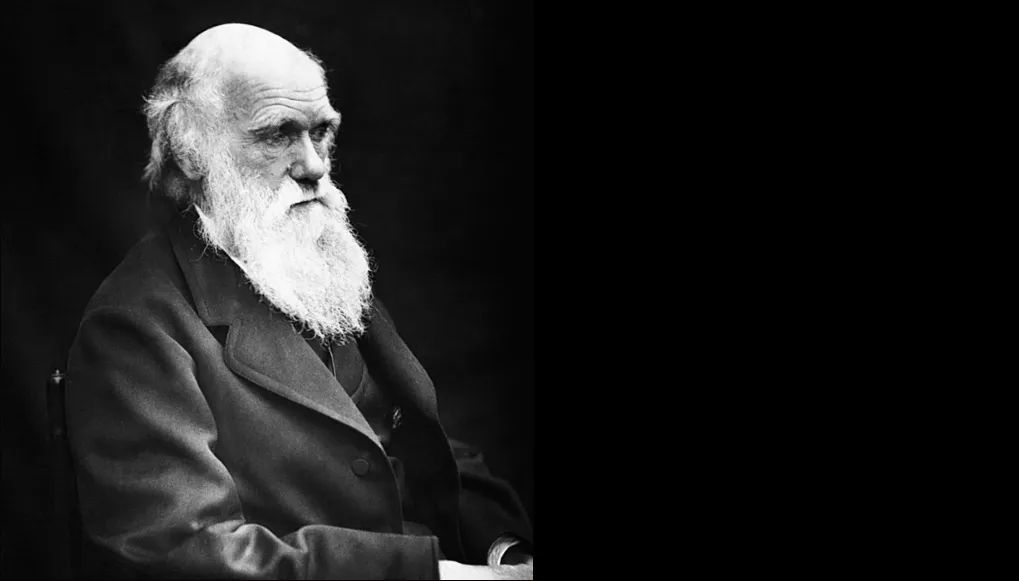 A collective of scientists and researchers across India, has raised concerns over the deleted ‘Theory of Biological Evolution’ from (NCERT) books for Class 10.