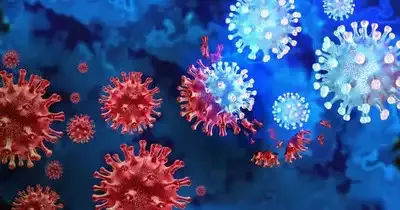 New Covid Variant JN.1 Found in Kerala: Everything You Should Know About The Contamination