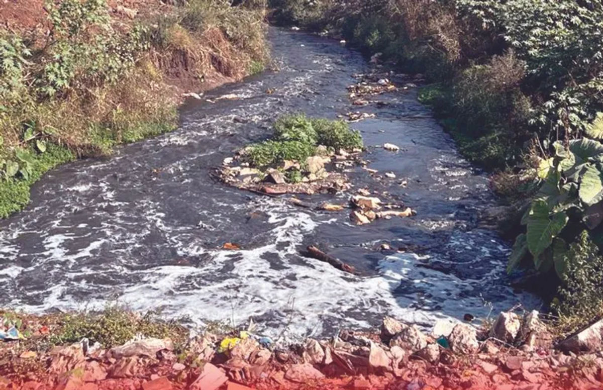 Reviving Ram Zara: Eco-Activists Unite to Combat Pollution and PCMC’S Neglect