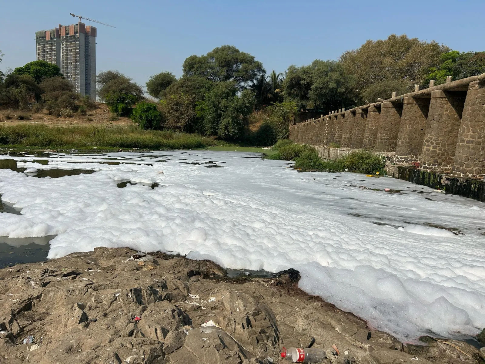 पुणे के पास मुळा नदी झागदार होने से गंभीर पर्यावरण और स्वास्थ्य संबंधी चिंताएँ उत्पन्न