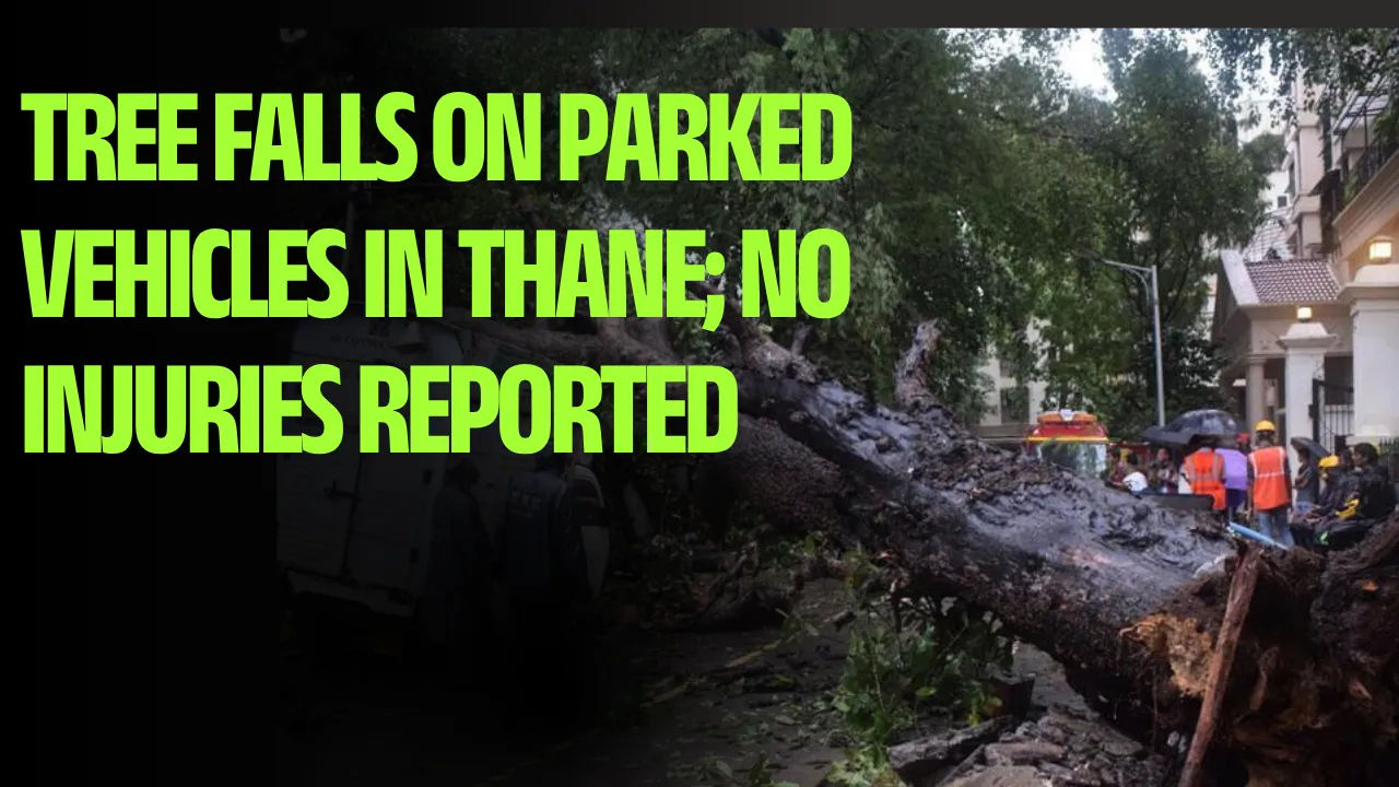 Tree Falls on Parked Vehicles in Thane; No Injuries Reported