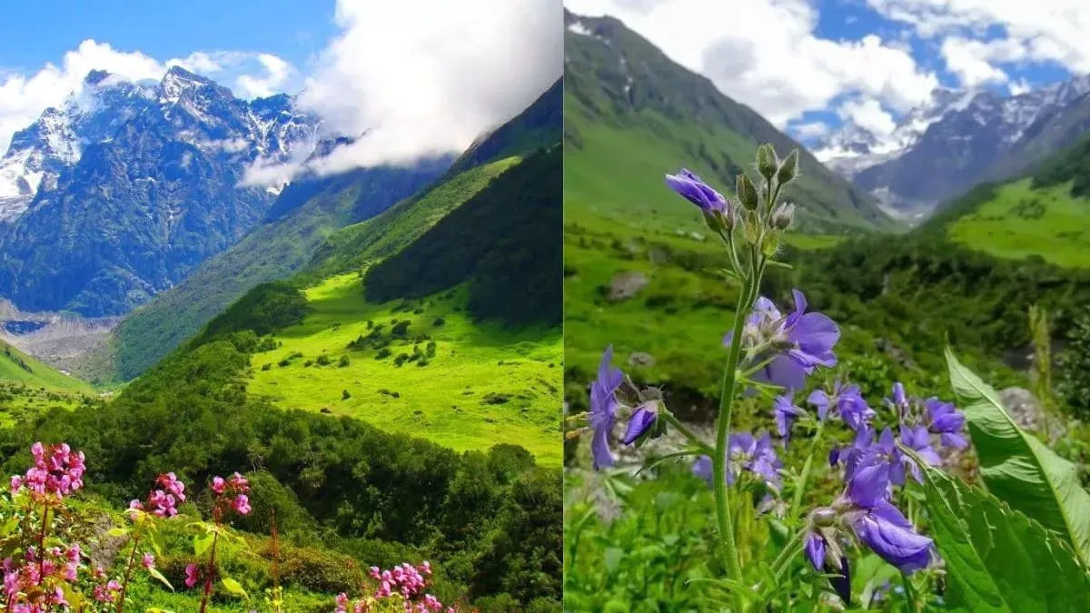 वैली ऑफ फ्लावर्स (Valley of Flowers) उत्तराखंड के चमोली जिले में स्थित एक विश्व धरोहर स्थल है,