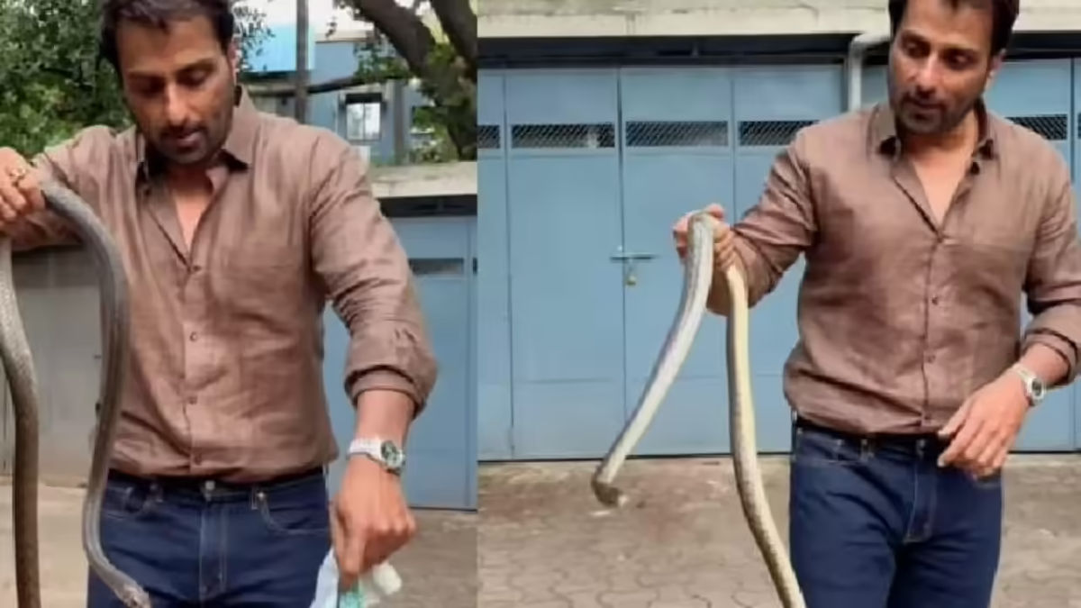 सोनू सूद यांनी केला सापाचा बचाव, पण दिली इशारा: “तज्ज्ञांनाच पाचारण करा, स्वतः प्रयत्न करू नका”