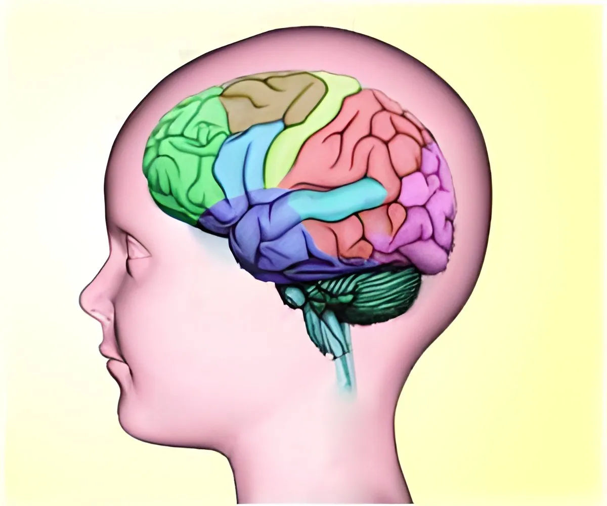 Top Pediatricians Urge Government to Provide Free Epilepsy Medication for Children, Propose Separate Child Ministry