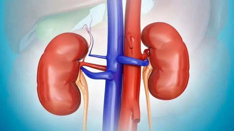 किडनी को स्वस्थ रखने के लिए कितना पानी पीना चाहिए?